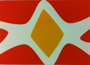 Flag of the Gimuy Walubara Yidinji Nation - [used with permission]